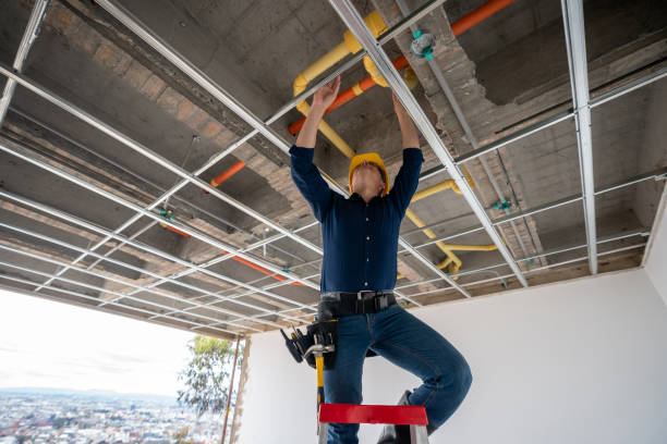 Best Plumbing Services Near Me  in Chenoa, IL