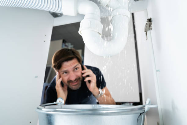 Best Hot Water Heater Installation  in Chenoa, IL