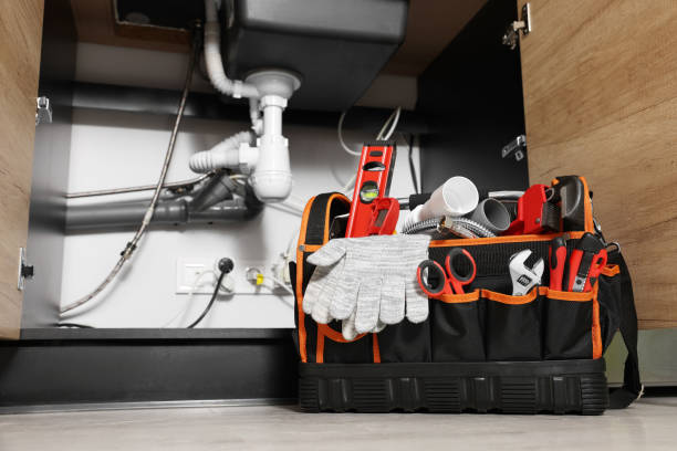Best 24-Hour Plumber Near Me  in Chenoa, IL