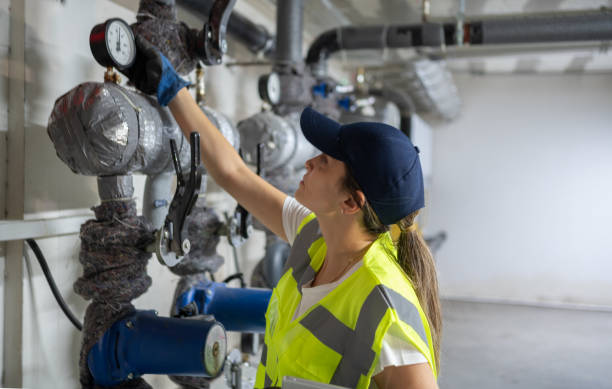 Best Leak Detection Services  in Chenoa, IL