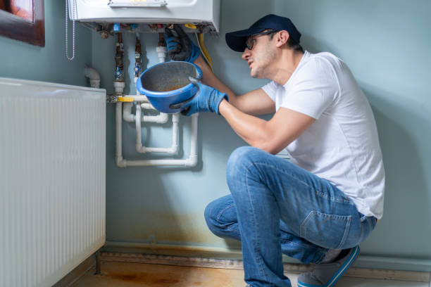 Best Plumbing Repair Near Me  in Chenoa, IL