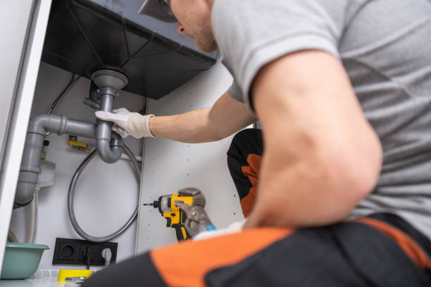 Best Plumbing Services Near Me  in Chenoa, IL