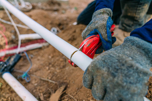 Best Plumbing Inspection Services  in Chenoa, IL