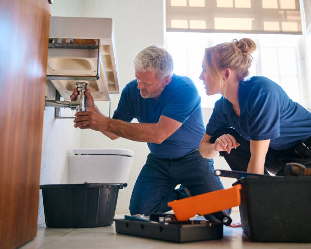 Best Sewer Line Repair  in Chenoa, IL